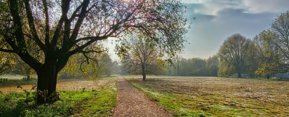 Preserve and Create Wealth | Tax Exempt Income | Superior Rates of Return